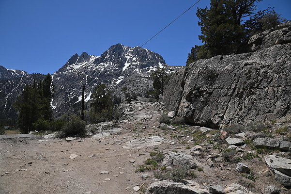 DSC 3135