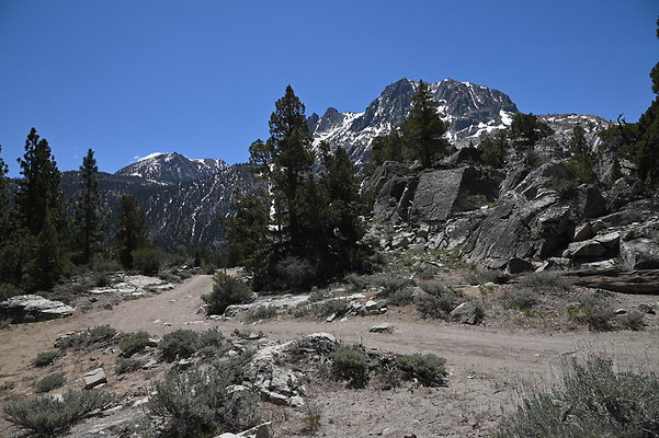 DSC 3109