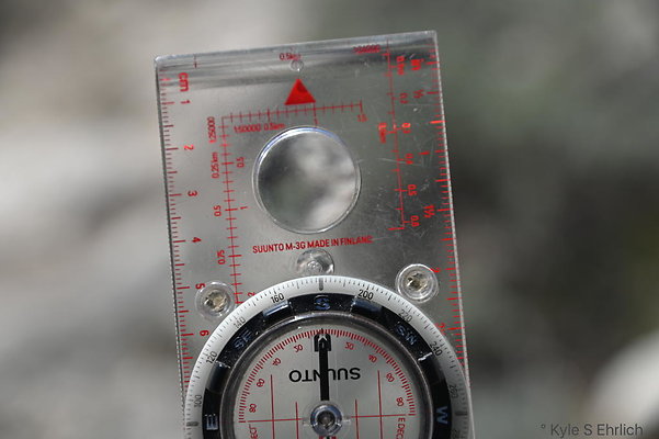 DSC 3101a