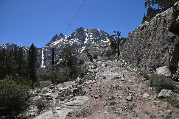 DSC 3155