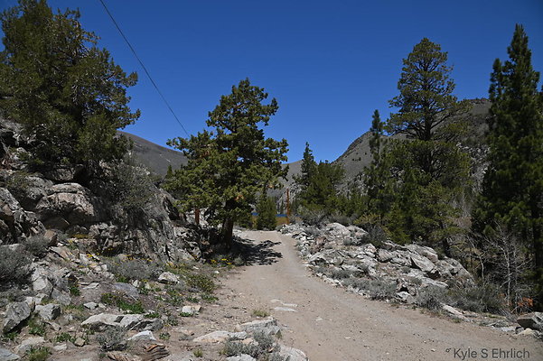 DSC 3151