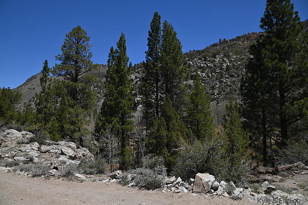 DSC 3152