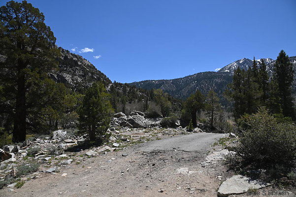 DSC 3154