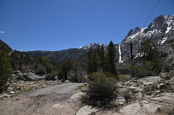 DSC 3147