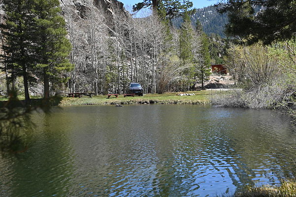 DSC 0664