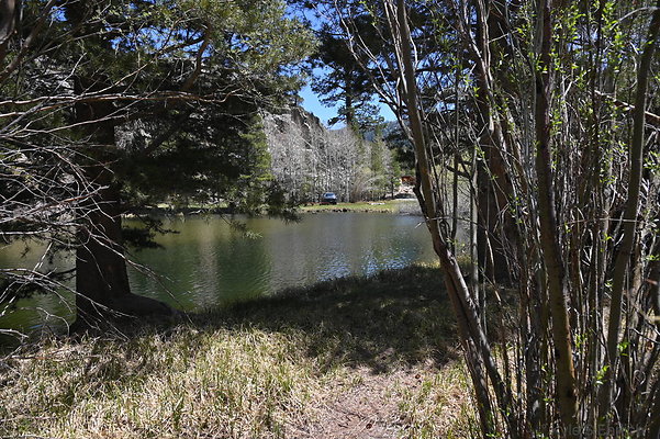 DSC 0668