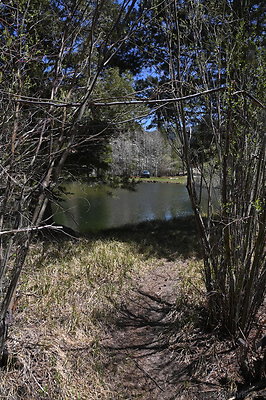 DSC 0680