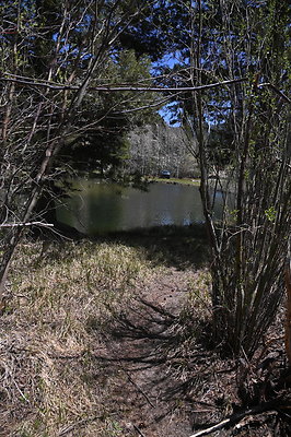 DSC 0676