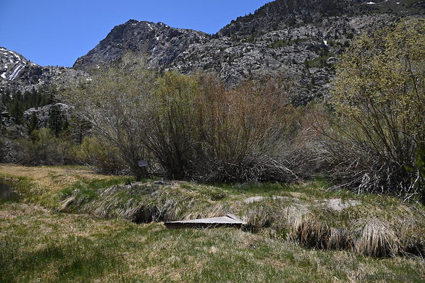 DSC 0586