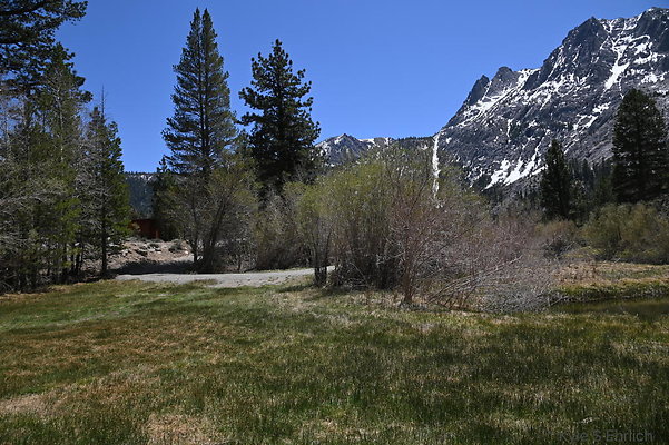 DSC 0584