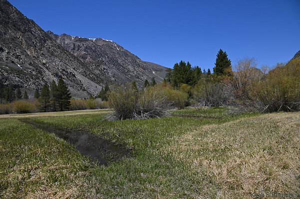 DSC 0605