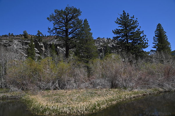 DSC 0619