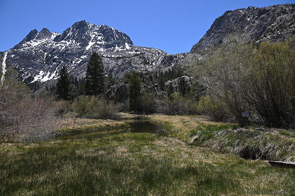 DSC 0585