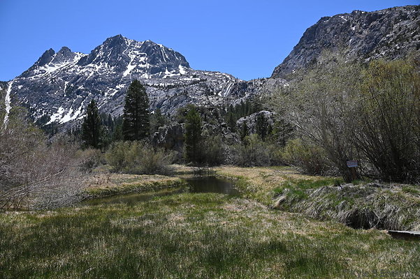 DSC 0582
