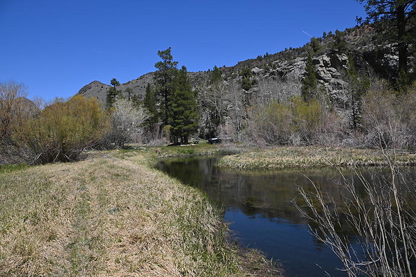 DSC 0602
