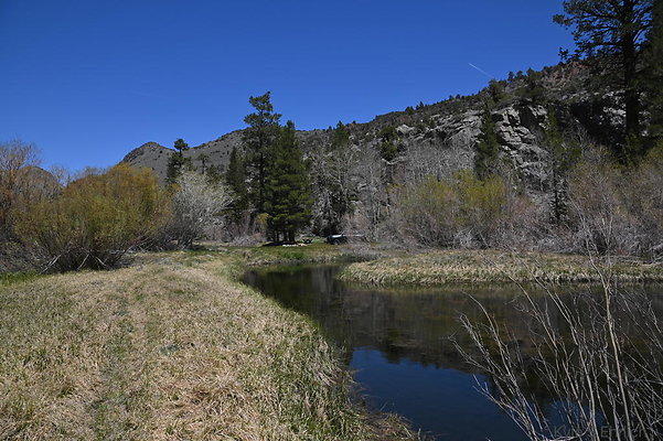 DSC 0606
