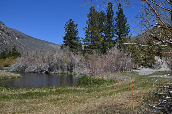 DSC 3207