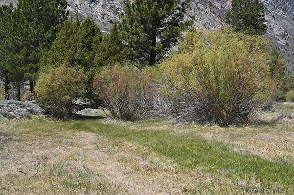 DSC 3204