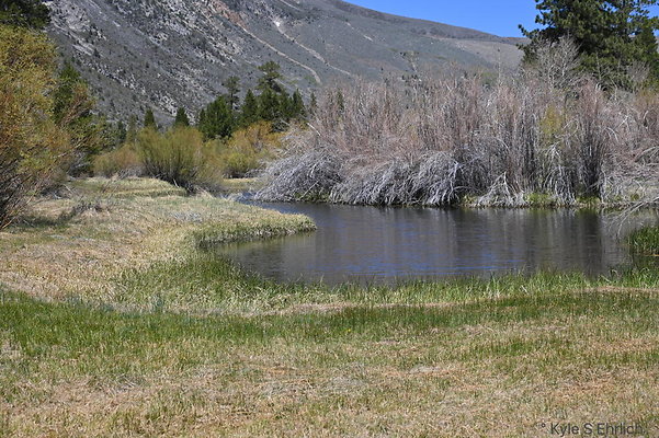 DSC 3201