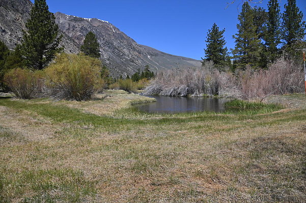 DSC 3199