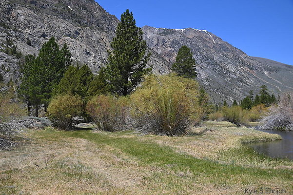 DSC 3206