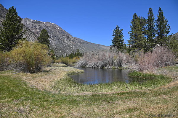 DSC 3219