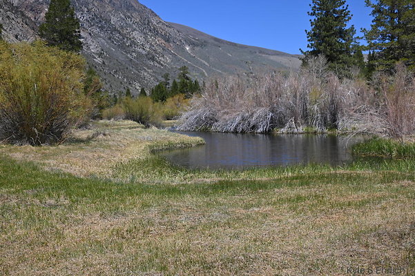 DSC 3200