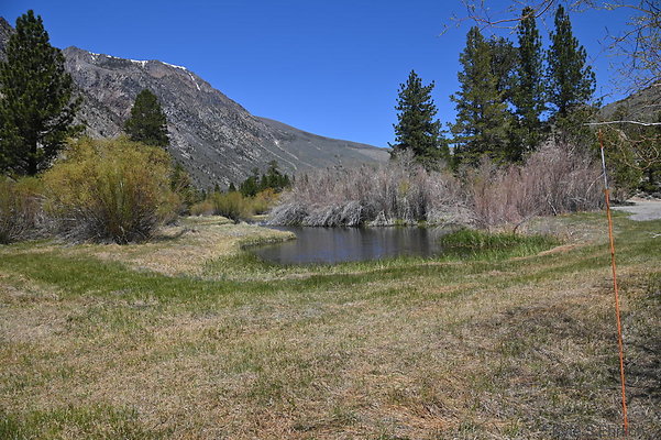 DSC 3194