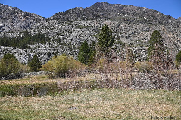 DSC 3225