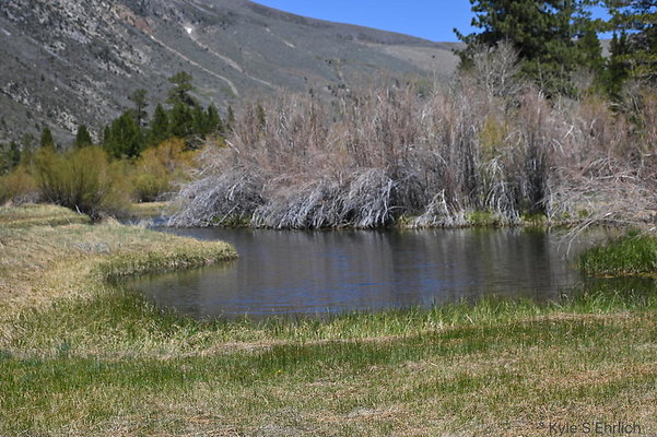 DSC 3195