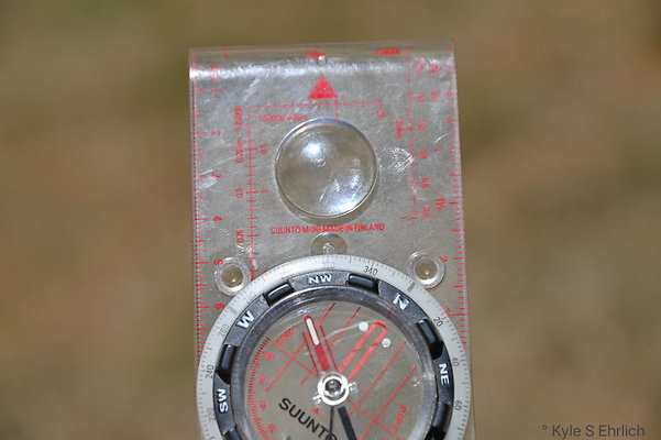 DSC 3195a