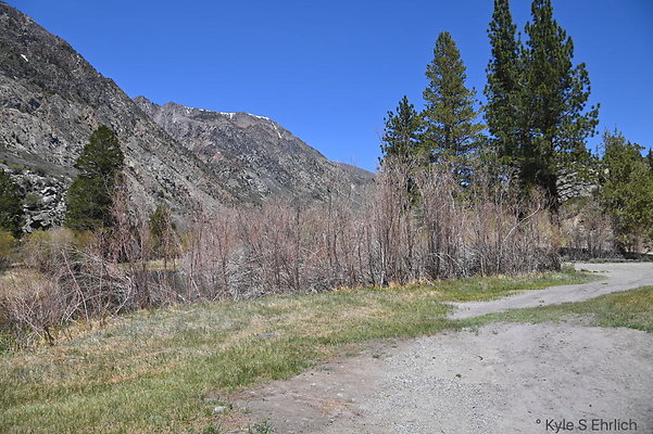DSC 3222