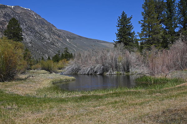 DSC 3197
