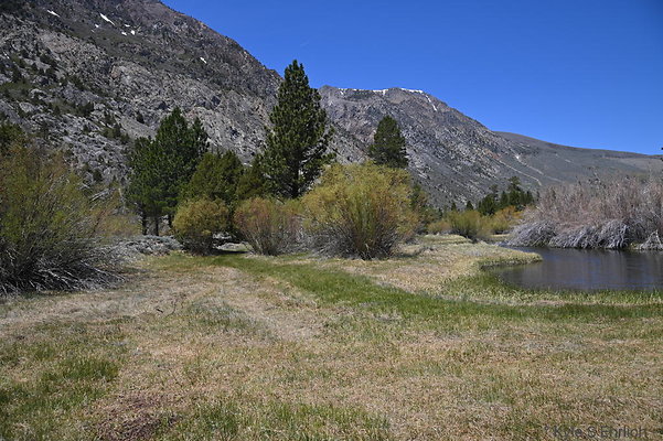 DSC 3202