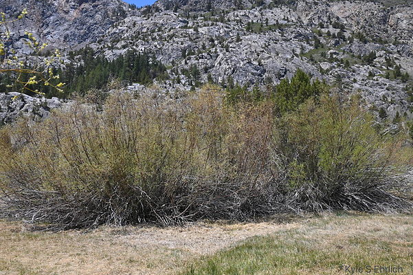 DSC 3205