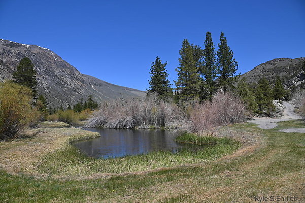 DSC 3212