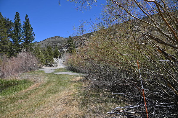 DSC 3213