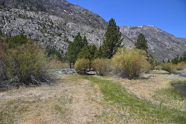 DSC 3211