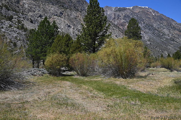 DSC 3203