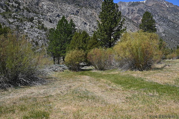 DSC 3196