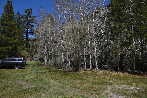 DSC 0538