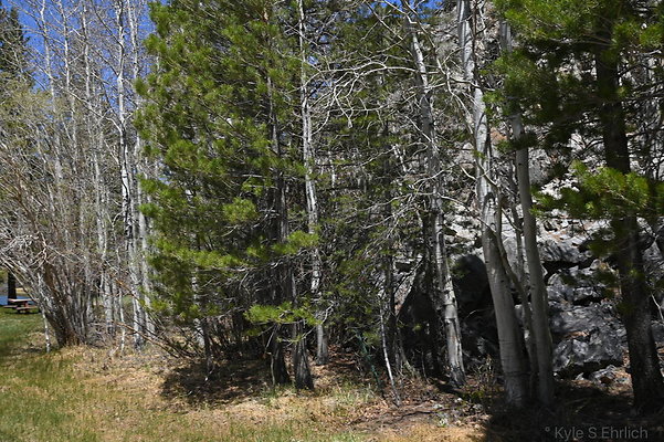 DSC 0550