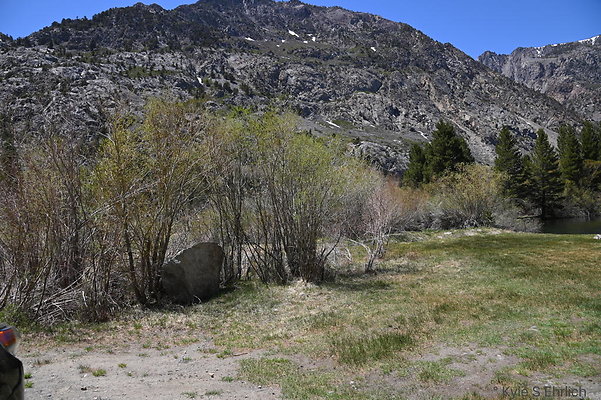 DSC 0685