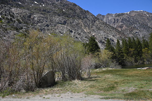 DSC 0548