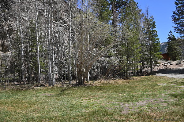 DSC 0563