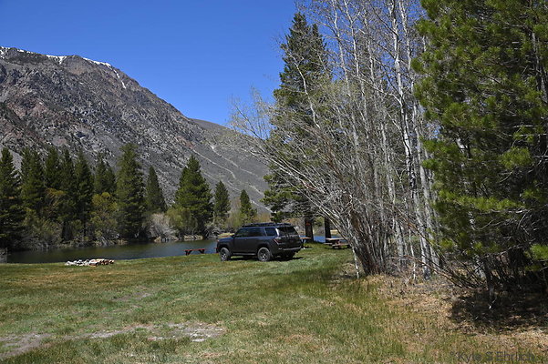 DSC 0549