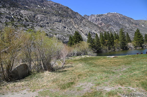 DSC 0554