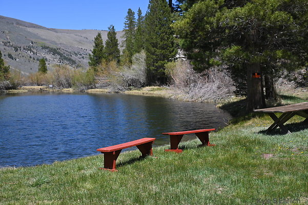 DSC 0580