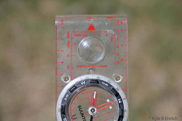 DSC 0535a