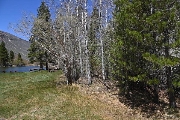 DSC 0687
